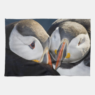 Linge De Cuisine Le Macareux atlantique, un oiseau de mer pélagique