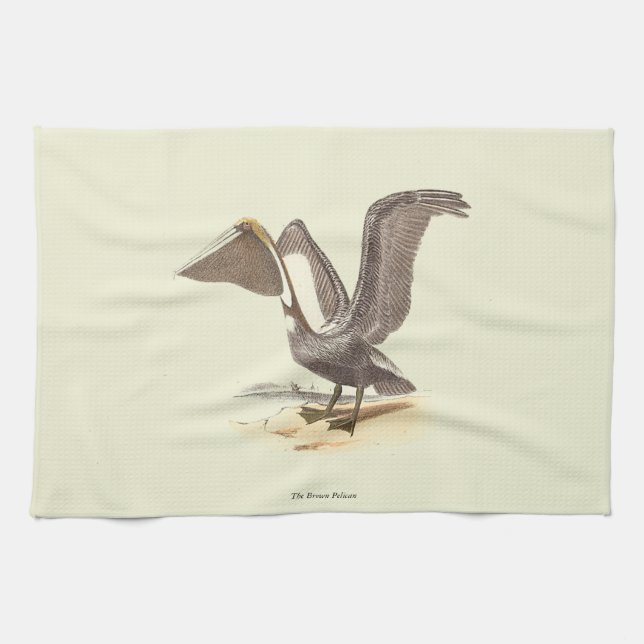 Linge De Cuisine Le pélican Brown (Pelecanus occidentalis) NY Bird (Horizontal)