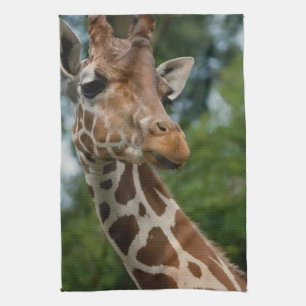 Linge De Cuisine Les amateurs de girafe Les cadeaux d'art