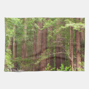 Linge De Cuisine Les séquoias au monument national de Muir Woods