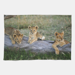 Linge De Cuisine Lionceaux sur rondin