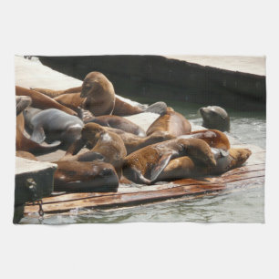 Linge De Cuisine Lions de mer au soleil à San Francisco