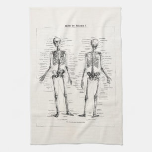 Linge De Cuisine L'os humain squelettique vintage d'anatomie
