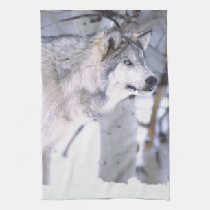 Linge De Cuisine Loup gris, Canis lupus, Animal de cinéma Utah)