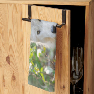 Linge De Cuisine Loup Gris, Photographie d'Animaux Canadiens