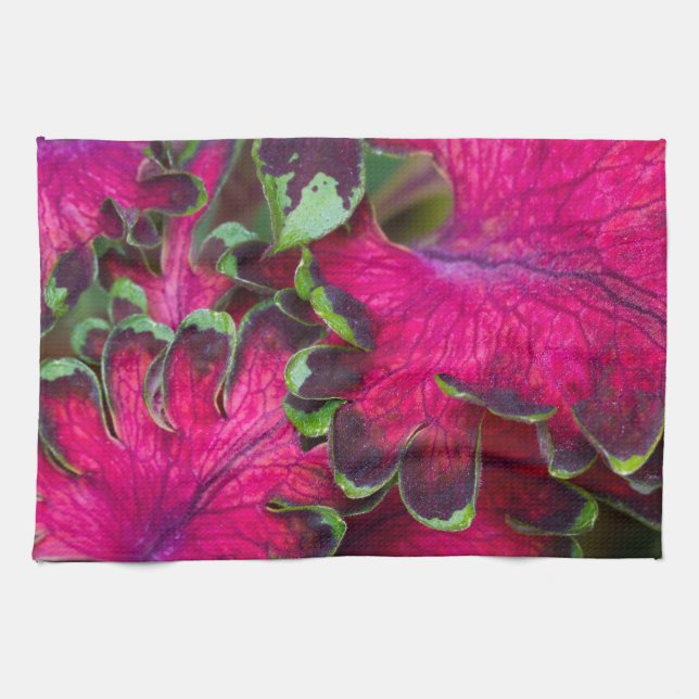 Linge De Cuisine Macro Coleus (Horizontal)