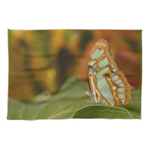 Malachite sur une feuille