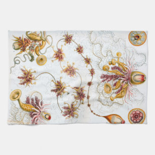 Linge De Cuisine Méduses d'Ernst Haeckel Siphonophorae