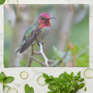 Linge De Cuisine Merveilleux colibri d'Anna masculine dans un palmi