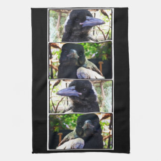 Linge De Cuisine Miss Bub secourt la Magpie australienne