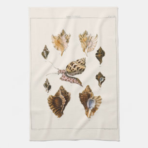 Linge De Cuisine Mollusques et escargots, organismes marins vintage