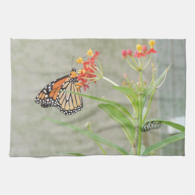 Linge De Cuisine Monarch Butterfly et Caterpillar (Horizontal)