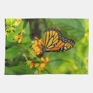 Linge De Cuisine Monarque Sur Lantana
