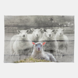 Linge De Cuisine Mouton d'agneau de bébé