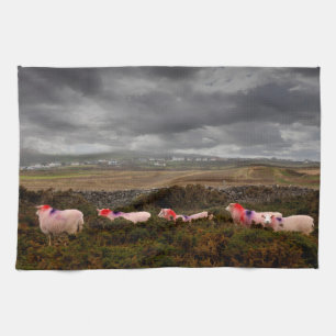 Linge De Cuisine Moutons colorés