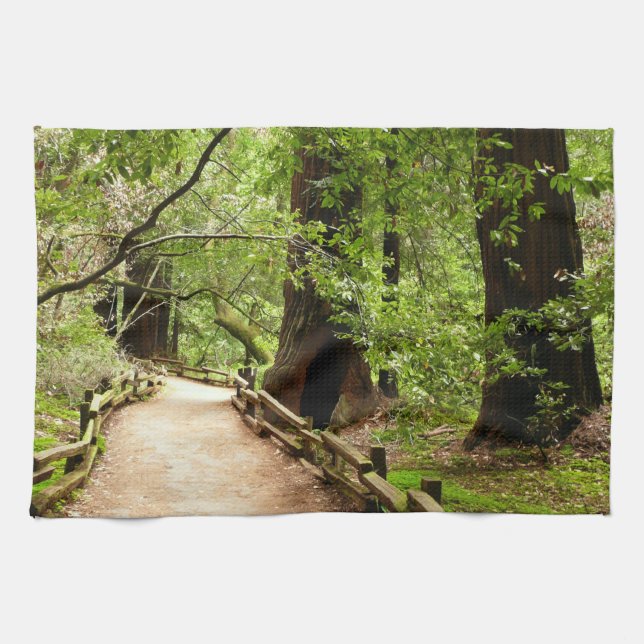 Linge De Cuisine Muir Woods Path II Nature Photography (Horizontal)