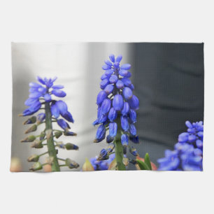 Linge De Cuisine muscari à grappe