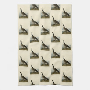 Linge De Cuisine Oie en caquette des oiseaux d'Amérique d'Audubon