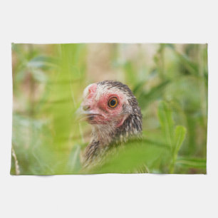 Linge De Cuisine Oiseau