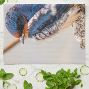 Linge De Cuisine Oiseau bleu, Hirondelle de grange, Photographie ca
