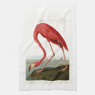Linge De Cuisine Oiseaux américains de John Audubon de Flamant ros