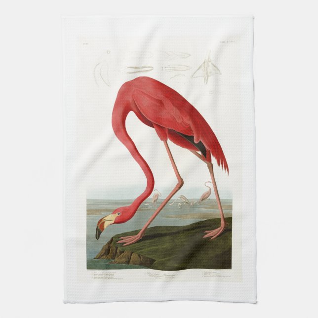 Linge De Cuisine Oiseaux américains de John Audubon de Flamant rose (Vertical)