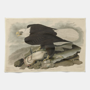 Linge De Cuisine Oiseaux d'Amérique à tête blanche (aigle à tête bl