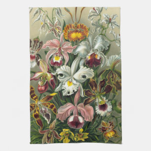 Linge De Cuisine Orchidées Ernst Haeckel, Fleurs Vintages de la for