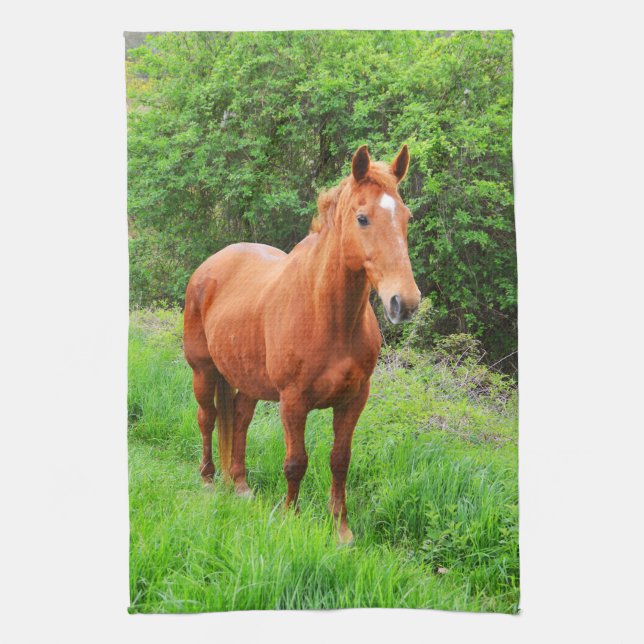 Linge De Cuisine Orion (Vertical)