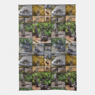 Linge De Cuisine Otters Dans Un Collage De Photo,