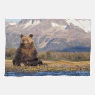 Linge De Cuisine ours brun, Ursus arctos, grizzly, Ursus