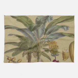 Linge De Cuisine Palm Antique Fruit Tropical Art Botanique