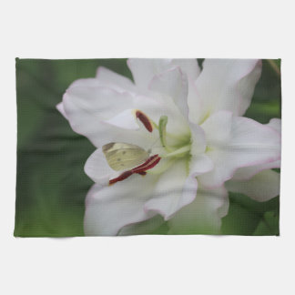 Linge De Cuisine Papillon blanc chou sur Lily Flower Photo