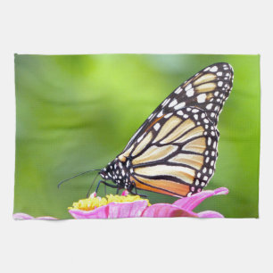 Linge De Cuisine Papillon monarque