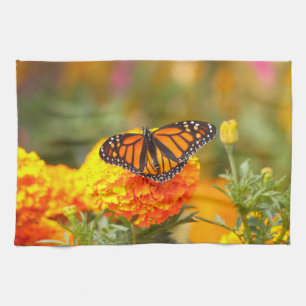 Linge De Cuisine Papillon monarque Orange Marigold Photo