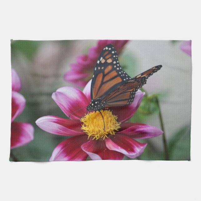 Linge De Cuisine Papillon monarque sur Dahlia rose chaud photo (Horizontal)