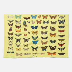 Linge De Cuisine Papillon papillon vintage Ancien art d'illustratio