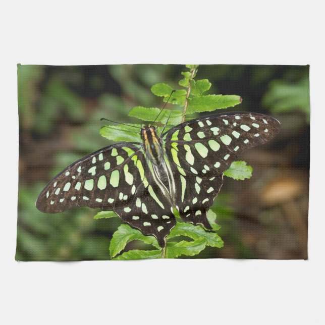 Linge De Cuisine papillon Tailed Jay (Horizontal)