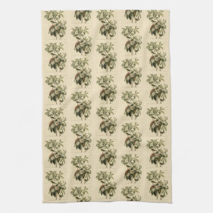 Linge De Cuisine Paruline de Bachman, d'Audubon's Birds of America
