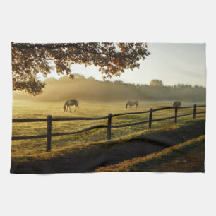 Linge De Cuisine Pâturage des chevaux au lever du soleil