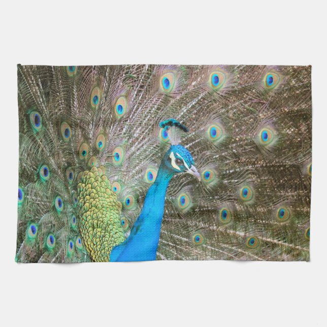 Linge De Cuisine Peacock avec plumes fanées - Photo d'oiseaux sauva (Horizontal)