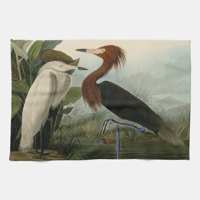 Linge De Cuisine Peinture de la faune d'Audubon Heron violet (Horizontal)