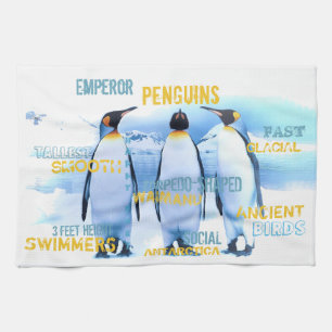 Linge De Cuisine Penguins de l'empereur