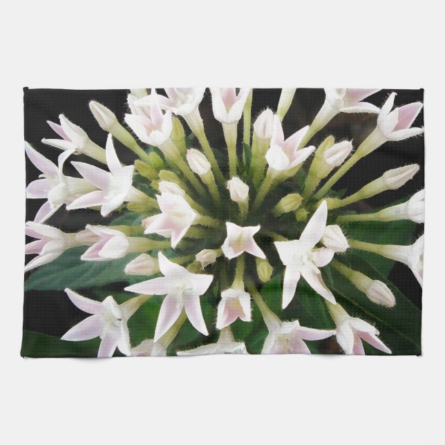 Linge De Cuisine Pentas blanc (Horizontal)