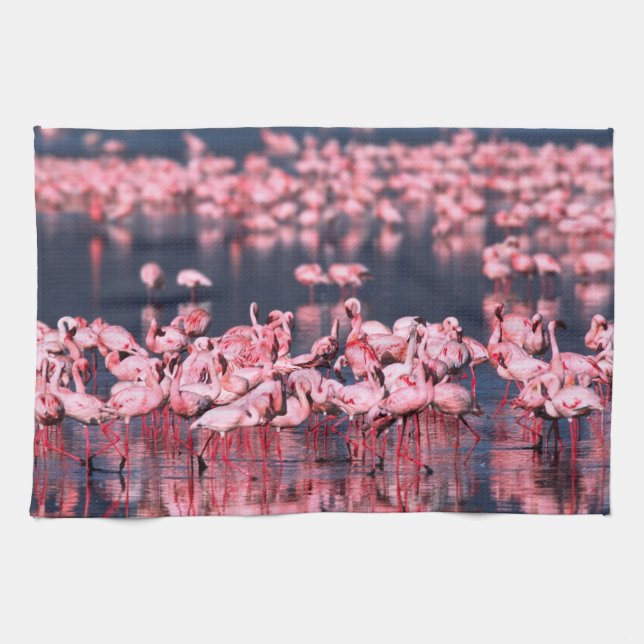 Linge De Cuisine Petits Flamants (Phoeniconaias minor), Afrique, (Horizontal)