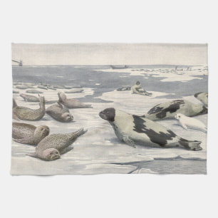 Linge De Cuisine Phoques de la Harpe Vintage dans la neige arctique