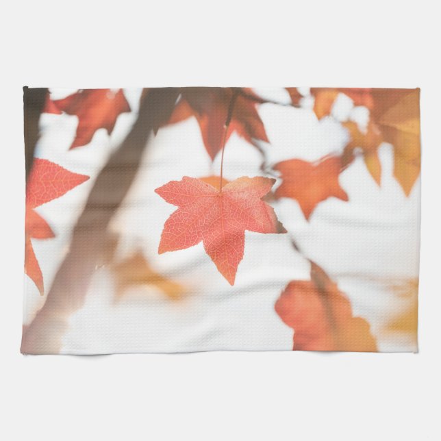 Linge De Cuisine Photo Red Autumn Leaf Nature (Horizontal)