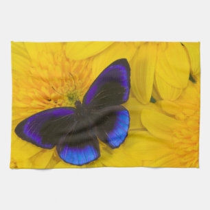 Linge De Cuisine Photographie de papillon
