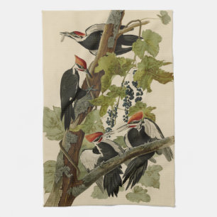 Linge De Cuisine Pileated Woodpecker from Audubon Birds of America