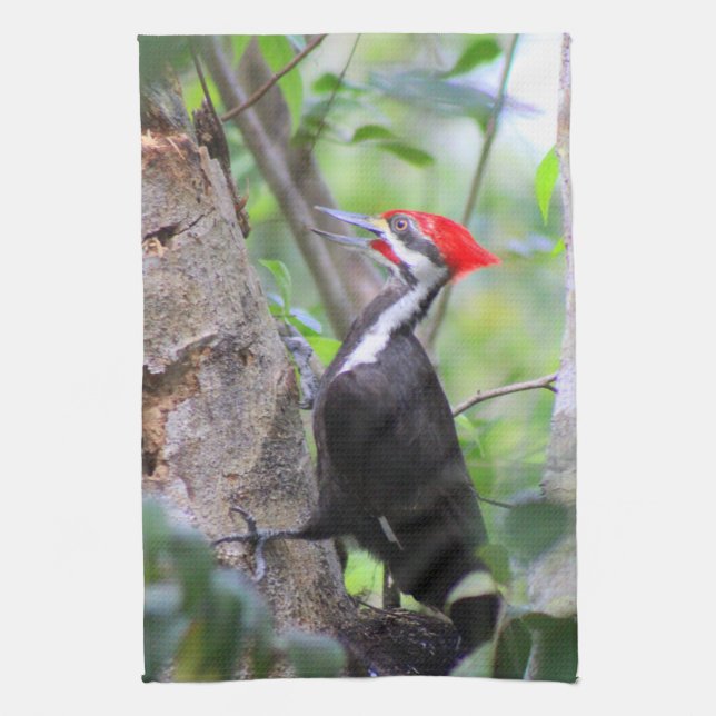 Linge De Cuisine Pileated Woodpecker Kitchen Towel Dish Towel (Vertical)